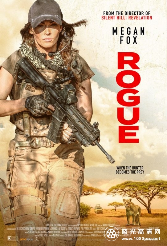侠盗/重装救援:全境猎杀 Rogue.2020.720p.BluRay.x264.DTS-FGT 5.19GB