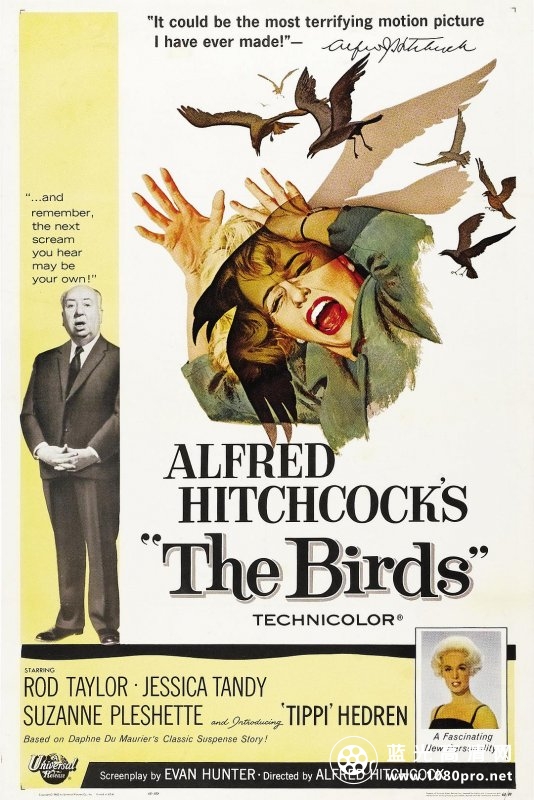 群鸟/鸟 The.Birds.1963.1080p.BluRay.x264.DTS-HD.MA.2.0-SWTYBLZ 11.14GB