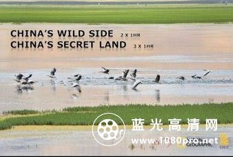 Chinas.Wild.Side.S01.2160p.AUHDTV.x264-纪录片-1.jpg