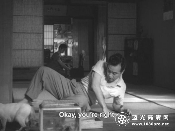 猫和庄造和两个女人 Shozo.a.Cat.and.Two.Women.1956.JAPANESE.ENSUBBED.1080p.AMZN.WEBRip.AAC2.0.x264-Sb ...