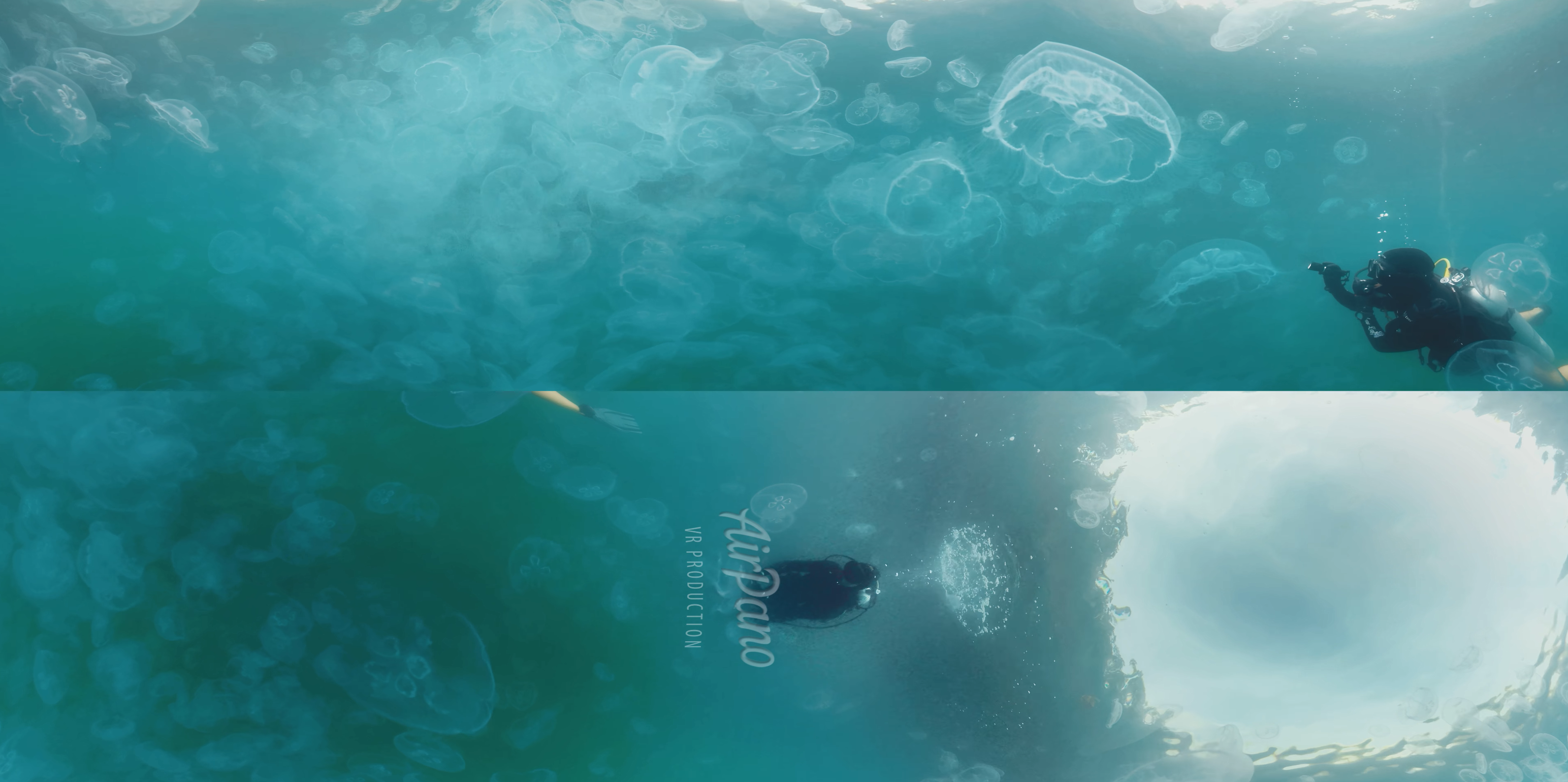 360°视频，水母湾，拉贾安帕特，印度尼西亚，8K水下视频【394MB】【02:47】