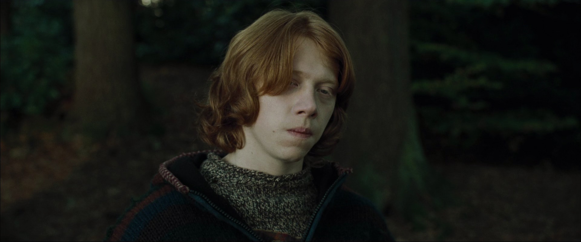 哈利·波特与火焰杯[国英多音轨/简英字幕].Harry.Potter.and.the.Goblet.of.Fire.2005.BluRay.1080p.x265.1 ...