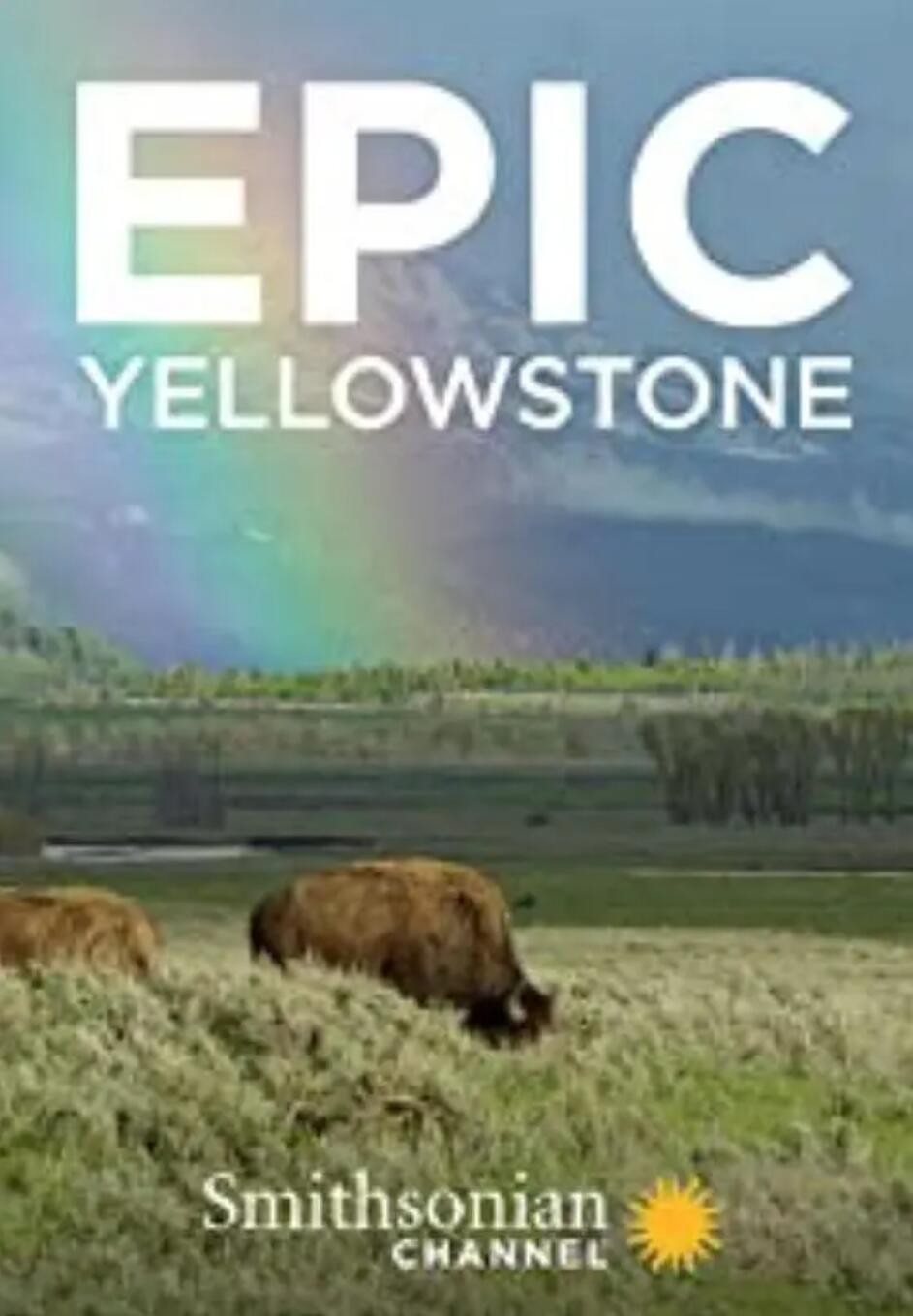 Epic.Yellowstone.S01.2160p.PMTP.WEBRip.AAC2.0.x265-纪录片下载—13.81 GB