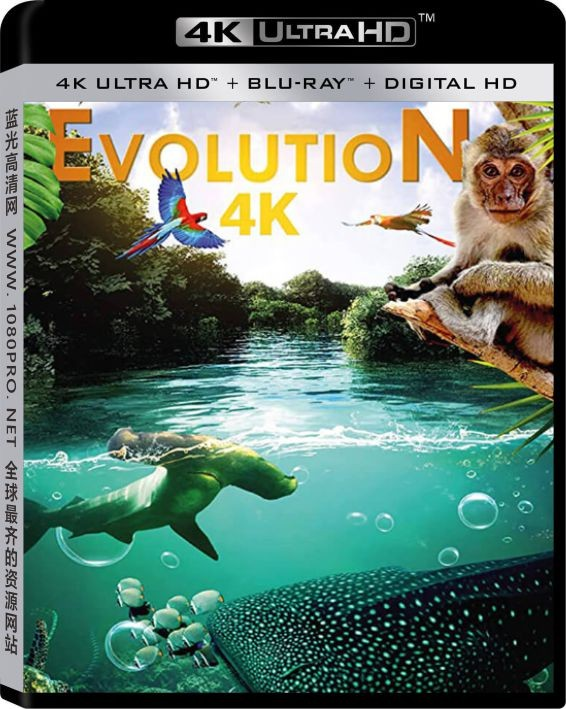进化 4K Evolution.4K.2018.DOCU.2160p.BluRay.HEVC.DTS-HD.MA.2.0-电影纪录片下载[蓝光原盘]—24.56 ...