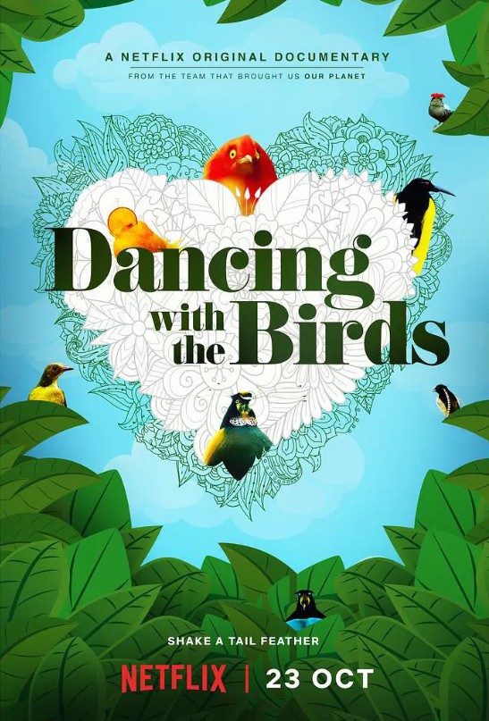 与鸟共舞4k Dancing.with.the.Birds.2019.2160p.NF.WEBRip.DDP5.1.Atmos.x265电视纪录片下载—11.1 ...