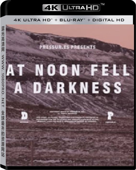 冰岛实验音乐 4K.At.Noon.Fell.A.Darkness.2018.2160p.WEBRip.x264.8bit.SDR.AAC2.0-4K纪录片下载 ...