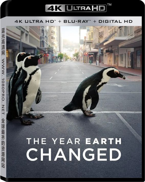 地球改变之年 4K.The.Year.Earth.Changed.2021.HDR.2160p.WEB.H265-4K纪录片下载—8.53 GB