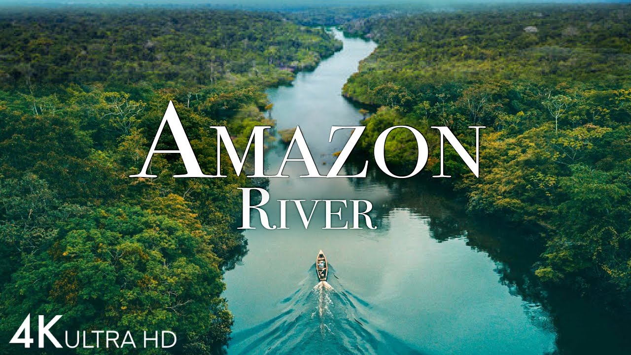亚马逊河4k-世界上最大的河流之一"粉红海豚"—4k风景篇-3.39GB