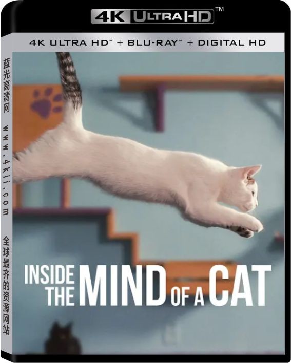 喵星人的奇思妙想4K Inside.the.Mind.of.a.Cat.2022.2160p.NF.WEB-DL.x265.10bit.HDR.DDP5.1-4K电影下载 ...
