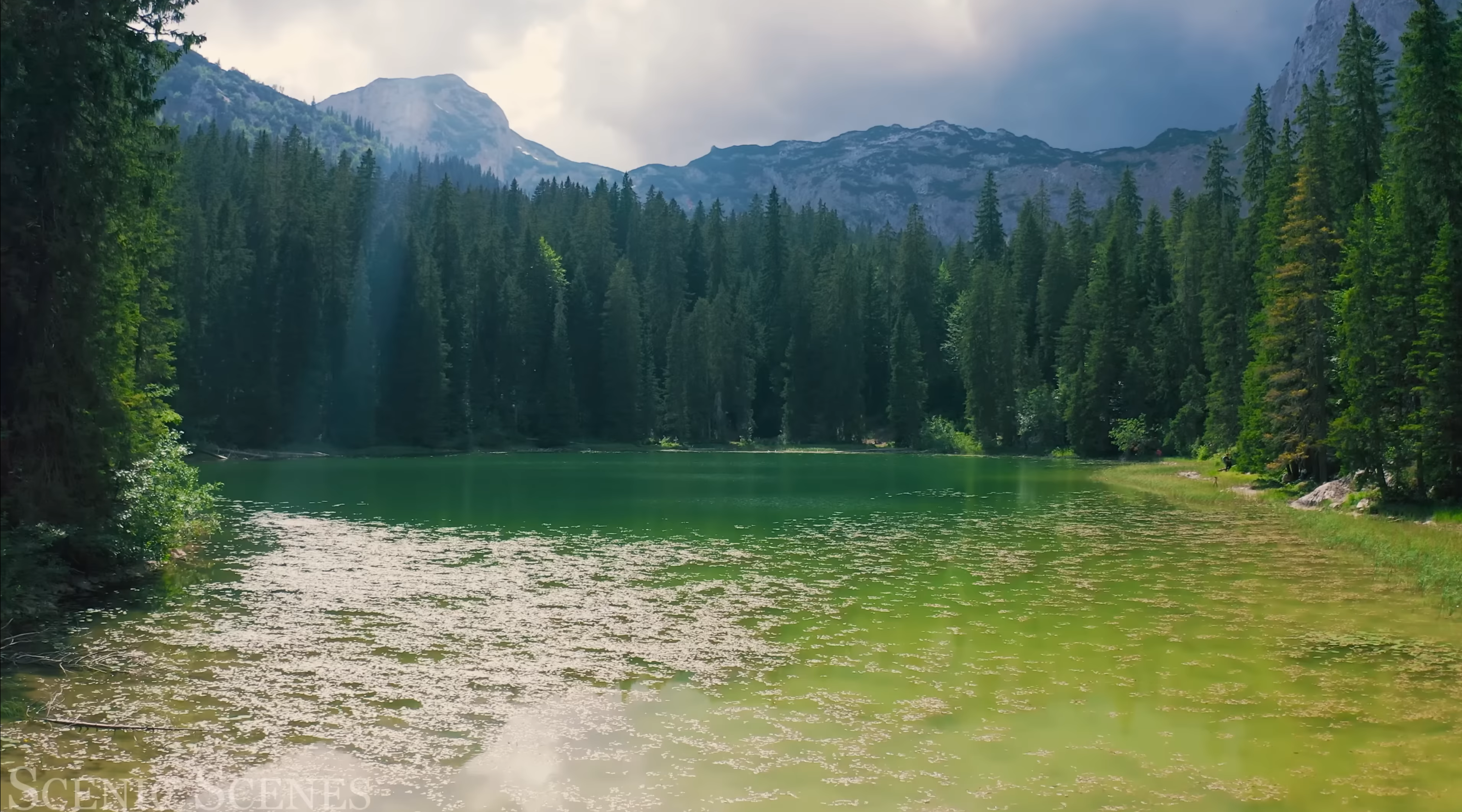 4K中的自然-世界各地令人惊叹的场景 Nature In 4K - Breathtaking Scenes Around The World _ Nature Sound ...
