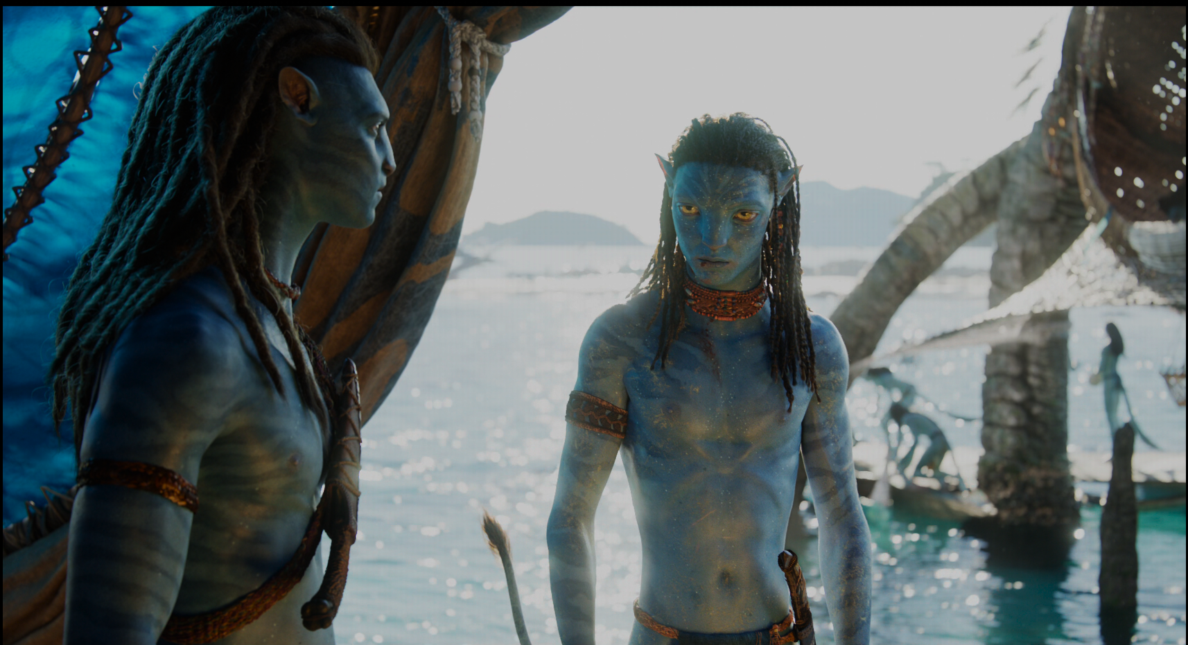 阿凡达：水之道/阿凡达2[IMAX.3D原盘/DIY次世代国语/简繁/简英字幕/菜单修改].3D.Avatar.The.Way.of.Water. ...