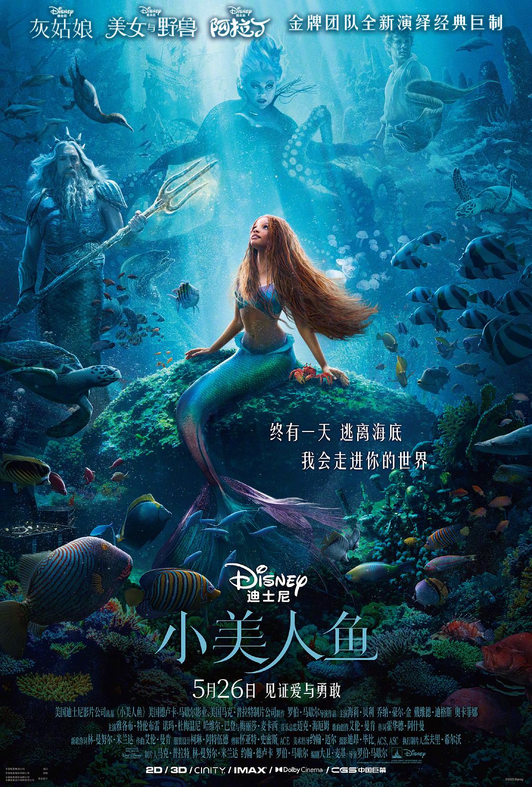 小美人鱼.The Little Mermaid 2023 BluRay 1080p DTS-HD MA 7.1 x264-MgB 16.61GB