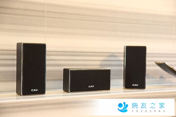 小户家庭的性价比极致表现 CAV DL-1壁挂音箱套装体验